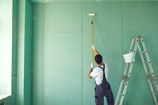 Best Basement Mold Removal  in Old Miakka, FL