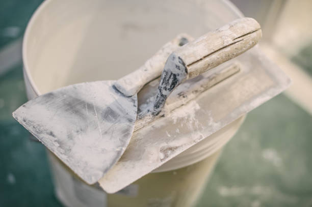 Best Mold-Related Health Consultation  in Old Miakka, FL