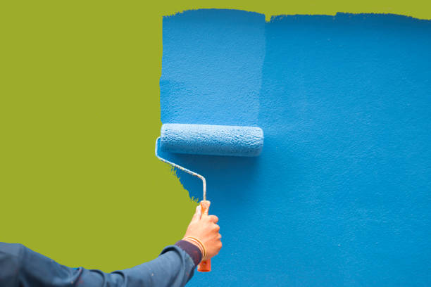 Best Black Mold Removal  in Old Miakka, FL